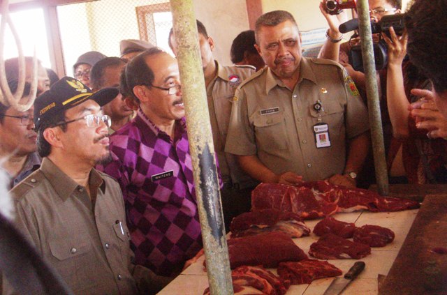 Kementan Dukung Temuan BPK pada Daging Impor